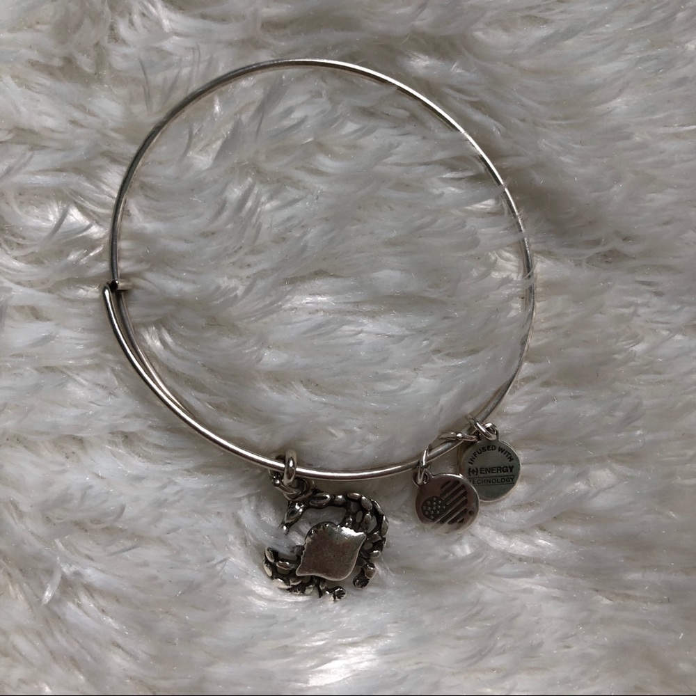 Crab Alex and Ani